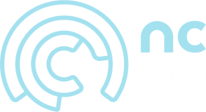 NC Consulting & Co NC Consulting & Co logo